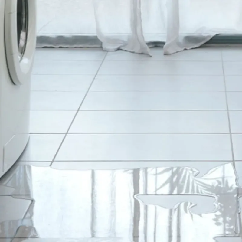 Appliance Leak Cleanup in Brogden, NC