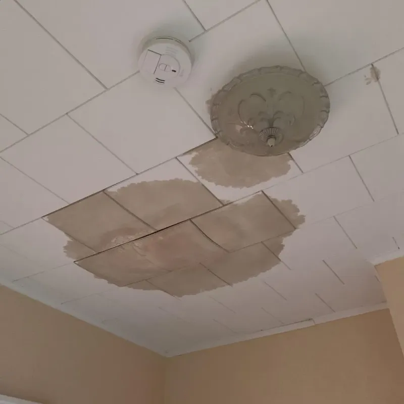 Ceiling Water Damage Repair in Brogden, NC