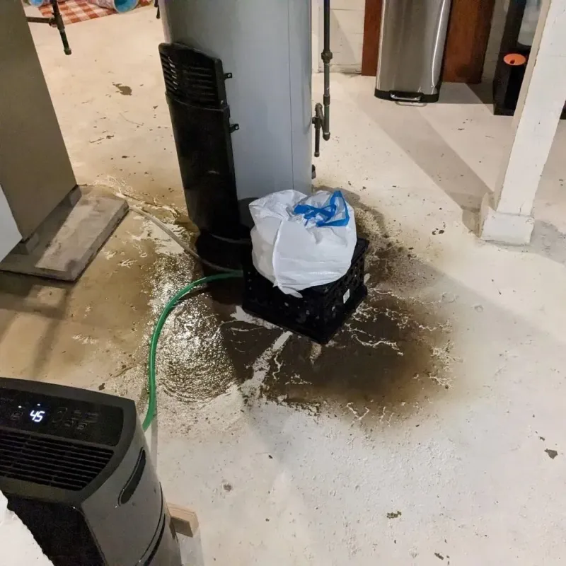 Sewage Backup Cleanup Service in Brogden, NC